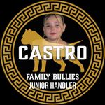 @bella_castrofamilybullies - Instagram