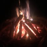 Bella Chaney - @photographyandnaturespam - Instagram
