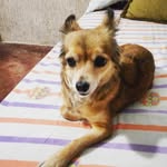 bella flor claros - @bellaclaros72 - Instagram