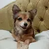 Bella Flor Claros - @bella.flor.claros - TikTok