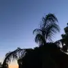 Bella - @bellaclavell5 - TikTok