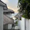 bella - @bellacobb2 - TikTok