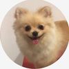 ✨Bella✨ - @bella_cohen_555 - TikTok
