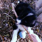 bella._.cohen - @bella._.cohen - Instagram