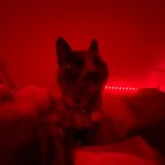 bella - @_bellaconway_ - Instagram