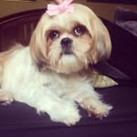 Bellaconway - @bellaconway1 - Instagram