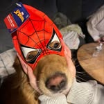 Bella Cote - @boo.you.smell - Instagram