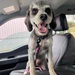 Bella Cotebooth - @bellacotebooth2 - Instagram