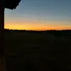Bella Cox - @bella.cox51 - TikTok