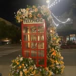 𝐁𝐄𝐋𝐋𝐀 💐 - @bella.coyle - Instagram