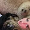 Bella - @bellaacrowell - TikTok