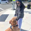 bella - @cuevasvbella - TikTok