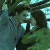 bella_cullen17 - @bella_cullen17 - TikTok