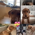 Bella Cunningham - Facebook