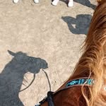 Bella - @bella.dalton6 - Instagram