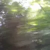 Bella Dalton - @belladalton2 - TikTok