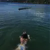 Bella - @bella.david_ - TikTok