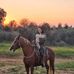 Bella Davidov - Facebook