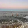 bella - @bella.davidson_ - TikTok