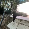 bella - @belladavidson - TikTok