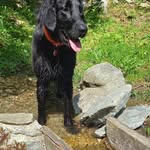 Bella Davidson - @auchenten365 - Instagram