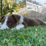 Bella Davidson - Facebook