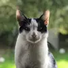 Bella Davidson - @bella_davidson - TikTok