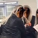 bellar - @bella_davidson_ - Instagram