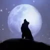 _Bella_Decker_ - @_bella_decker_ - TikTok