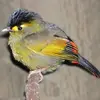 belladenney927359 - @belladenney927359 - TikTok