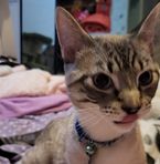 Bella Dickey - Facebook