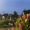 belladegraziaa - @belladegraziaa - TikTok