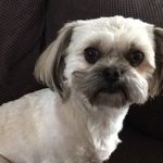 Bella - @bella.101.dodd - Instagram