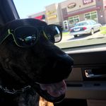 Bella Dougherty - @i.am.lazy.bella - Instagram