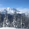 Bella Dougherty - @belladougherty1 - TikTok