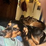 Bella Douglas - Facebook