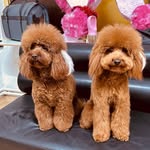 🪬BELLA & ELLA 🦋 - @mrs.bella.ella - Instagram