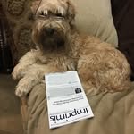 Donna - @bellaerickson1 - Instagram
