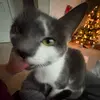 bella - @bellaaeverett - TikTok