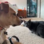 Bella Everett & Munchie Botek - @bella.n.munchie - Instagram