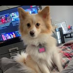 Bella Farinacci - @bella_farinacci17 - Instagram