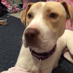 Bella Farinacci - @my_bella_bella - Instagram