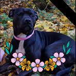 Bella Farmer - Facebook