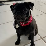 Bella Farmer - @ciao_bella0112 - Instagram