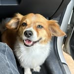 BELLA 🥐 - @bellafishman1 - Instagram