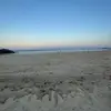 Bella - @bellafleming.10 - TikTok