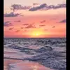 bellafreeman13 - @bellafreeman7 - TikTok