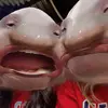 bella❣️ - @bella.fryee - TikTok