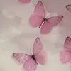 bella - @bella.fryerr - TikTok