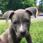 Bella - @frye.bella - Instagram